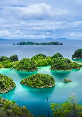 Raja Ampat Surga Dunia