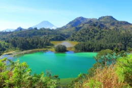 Desa Wisata Dieng